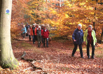 Wanderer im Burgwald