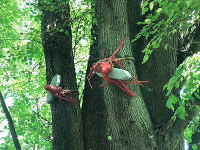 Kunst am kleinen Grimm-Pfad (Christine Ermer)